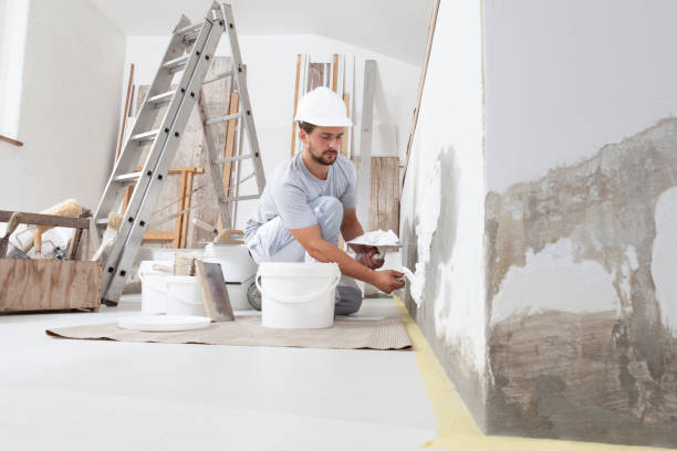 Best Eco-Friendly and Low-VOC Painting  in USA